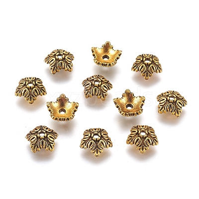 Tibetan Style Bead Caps LS-TIBEB-A24621-AG-LF-1