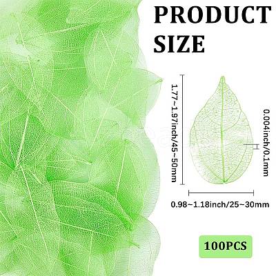 100Pcs Dried Flower Leaf Craft Supplies AJEW-CP0009-41A-1