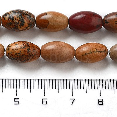 Natural Picture Jasper Beads Strands G-B106-B21-01-1