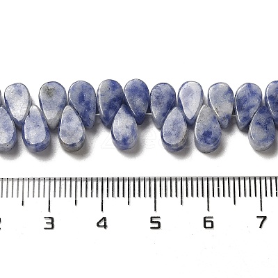 Natural Blue Spot Jasper Beads Strands G-B064-B59-1