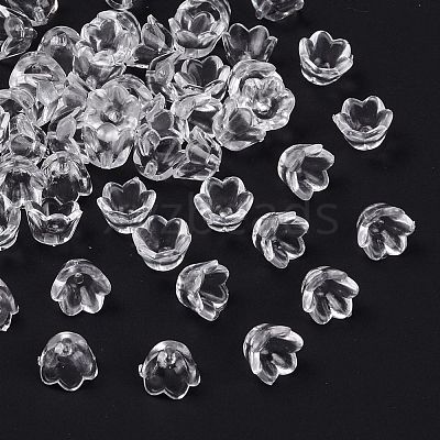 Transparent Acrylic Beads LS-X-PL548-1-1