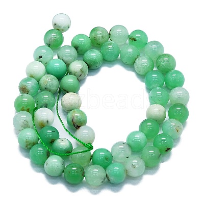Natural Chrysoprase Beads Strands G-K245-A12-05-1