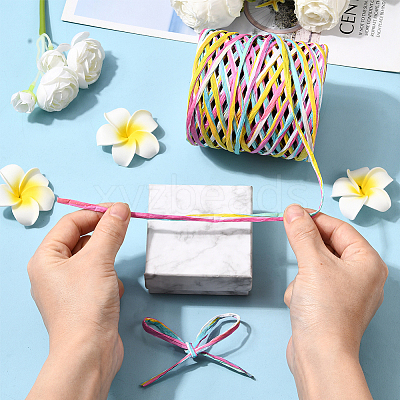 Segment Dyed Raffia Paper Cords for DIY Craft OCOR-WH20020-27C-1