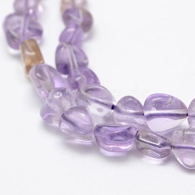 Natural Ametrine Beads Strands G-F521-22-1