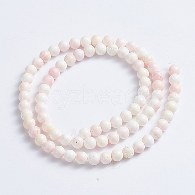 Natural Pink Shell Beads Strands SSHEL-L016-18A-1