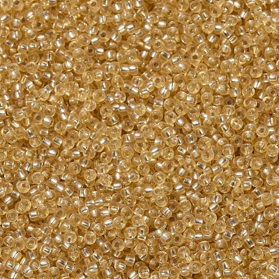 MIYUKI Round Rocailles Beads X-SEED-G007-RR0003-1