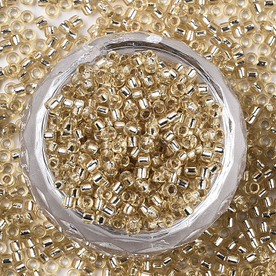 Glass Seed Beads SEED-S042-04A-05-1