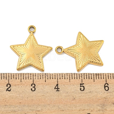 Ion Plating(IP) 304 Stainless Steel Pendants STAS-P365-09G-1