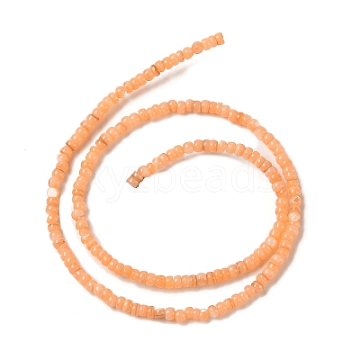Natural Freshwater Shell Beads Strands SHEL-P017-01B-05-1
