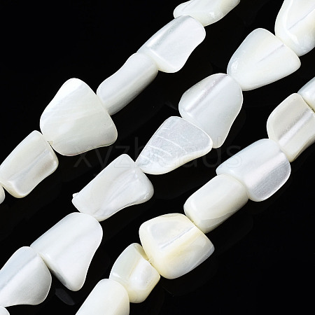 Natural Trochid Shell/Trochus Shell Beads Strands SSHEL-S266-006-1