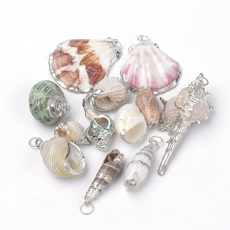 Sea Shell Pendants SSHEL-Q300-004-1