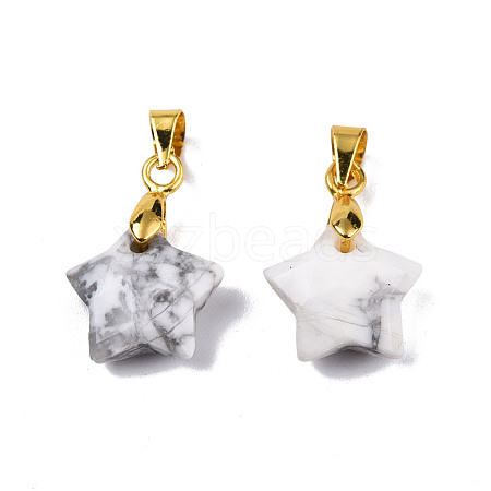 Natural Howlite Charms G-N326-142-10-1