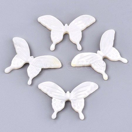 Natural White Shell Beads X-SSHEL-N032-10-1