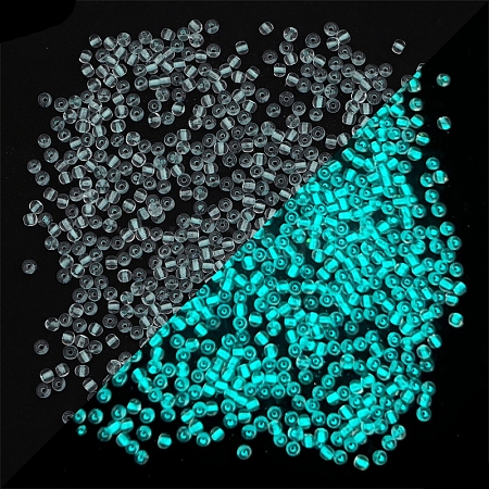 8/0 Luminous Glass Seed Beads X-LUMI-PW0001-186B-09-1