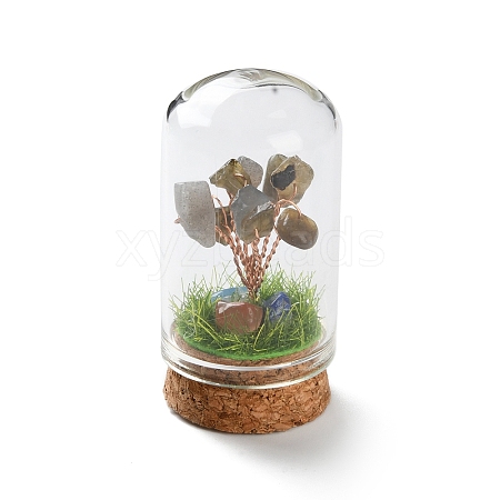 Natural Labradorite Chips Money Tree in Dome Glass Bell Jars with Wood Base Display Decorations DJEW-K030-02M-1