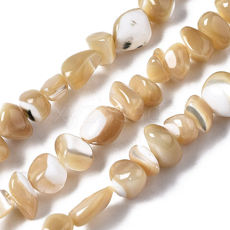 Natural Trochid Shell/Trochus Shell Beads Strands SSHEL-N034-78-B01-1