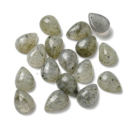 Natural Labradorite Cabochons G-Q173-02B-07-1