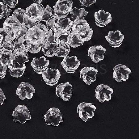 Transparent Acrylic Beads LS-X-PL548-1-1