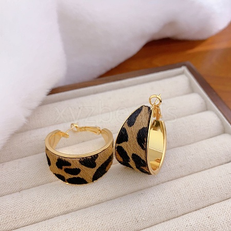 Brass Hoop Earrings EJEW-B120-03G-1