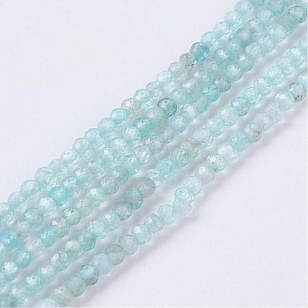 Natural Apatite Beads Strands G-P278-14-2mm-1