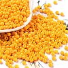 Baking Paint Glass Seed Beads SEED-H002-I-A511-1