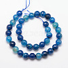 Natural Crackle Agate Bead Strands G-K166-07F-10mm-03-2