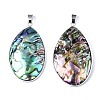 Natural Abalone Shell/Paua Shell Pendants SSHEL-N034-90-2