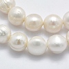 Natural Cultured Freshwater Pearl Beads Strands PEAR-K003-03A-3