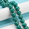 Natural Amazonite Beads Strands G-P503-10MM-10-2