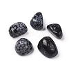 5Pcs Natural Snowflake Obsidian Beads G-FS0002-02-1