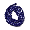Opaque Glass Beads Strands GLAA-L050-C23-2