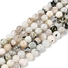 Natural Rainbow Moonstone Beads Strands G-H093-B01-6MM-1