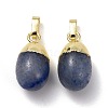 Dyed & Heated Natural Blue Aventurine Pendants G-F712-03F-G-2