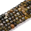 Natural Dragon Veins Agate Beads Strands G-G177-E11-01-2