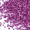 FGB Plated Glass Seed Beads SEED-S020-03A-03-2