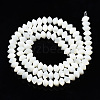 Natural Trochid Shell/Trochus Shell Bead Strands SSHEL-N034-134-2