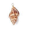 Natural Spiral Shell Pendants PALLOY-JF02950-3