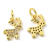 Rack Plating Brass Micro Pave Cubic Zirconia Charms KK-D036-07G-1