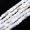 Natural Freshwater Shell Beads Strands SHEL-N034-29B-01-1