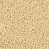 MIYUKI Round Rocailles Beads SEED-X0054-RR0493-2