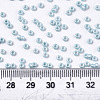 Frosted Opaque Glass Seed Beads X-SEED-S042-06A-03-4