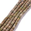 Natural Unakite Beads Strands G-C240-05-1