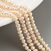 Natural Cultured Freshwater Pearl Beads Strands PEAR-C003-06D-2