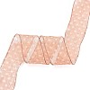 20 Yards Polyester Mesh Ribbon SRIB-P021-E03-1