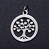 304 Stainless Steel Pendants STAS-T046-JA350-1A-P-1