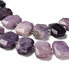 Natural Lepidolite Beads Strands G-H078-B14-01-4