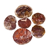 Flat Round Natural Petrified Wood Cup Mat PW-WGC91E4-01-5