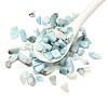 Natural Larimar Chip Beads X-G-Q193-01A-1
