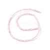 Natural Freshwater Shell Dyed Beads Strands SHEL-M018-12-09-2