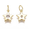 Brass Micro Pave Cubic Zirconia Charms ZIRC-F111-09G-08-2